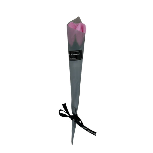 Pink Rose